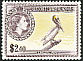 Brown Pelican Pelecanus occidentalis  1956 Definitives 