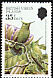 Antillean Crested Hummingbird Orthorhyncus cristatus  1982 Hummingbirds 