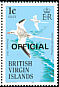 Red-billed Tropicbird Phaethon aethereus