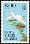 Western Cattle Egret Bubulcus ibis