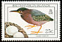 Green Heron Butorides virescens  1990 Birds 