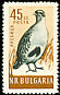 Grey Partridge Perdix perdix  1959 Birds 