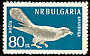 Common Cuckoo Cuculus canorus  1959 Birds 