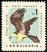 Bearded Vulture Gypaetus barbatus  1961 Birds 