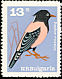 Rosy Starling Pastor roseus  1965 Birds 