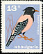 Rosy Starling Pastor roseus