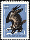 Cinereous Vulture Aegypius monachus