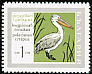 Dalmatian Pelican Pelecanus crispus