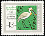 Eurasian Spoonbill Platalea leucorodia