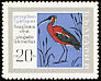 Glossy Ibis Plegadis falcinellus  1968 Srebirna wildlife reservation 