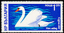 Mute Swan Cygnus olor  1976 Waterfowl 