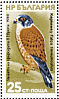 Common Kestrel Falco tinnunculus  1980 European nature conservation year Sheet
