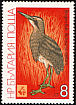 Eurasian Bittern Botaurus stellaris  1981 Birds 