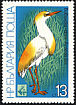Western Cattle Egret Bubulcus ibis  1981 Birds 