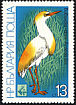 Western Cattle Egret Bubulcus ibis