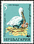 Dalmatian Pelican Pelecanus crispus  1984 WWF, Dalmatian Pelican 