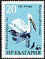 Dalmatian Pelican Pelecanus crispus  1984 WWF, Dalmatian Pelican 