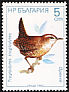 Eurasian Wren Troglodytes troglodytes  1987 Birds 