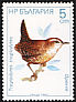 Eurasian Wren Troglodytes troglodytes