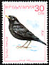 Common Blackbird Turdus merula  1987 Birds 