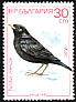 Common Blackbird Turdus merula