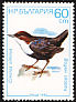 White-throated Dipper Cinclus cinclus  1987 Birds 