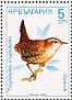 Eurasian Wren  Troglodytes troglodytes