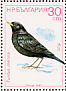 Common Blackbird Turdus merula  1987 Birds Sheet