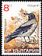 Hooded Crow Corvus cornix  1988 Birds 