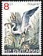 Grey Heron Ardea cinerea  1988 Birds 