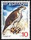 Northern Goshawk Accipiter gentilis  1988 Birds 