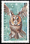 Long-eared Owl Asio otus  1992 Owls 