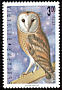 Western Barn Owl Tyto alba  1992 Owls 