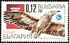 Egyptian Vulture Neophron percnopterus  2001 Vultures 