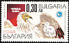 Egyptian Vulture Neophron percnopterus