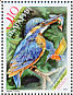 Common Kingfisher Alcedo atthis  2007 Protected birds Sheet