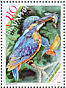 Common Kingfisher Alcedo atthis  2007 Protected birds Booklet