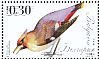 Bohemian Waxwing Bombycilla garrulus  2014 Songbirds Sheet