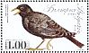 Black Lark Melanocorypha yeltoniensis  2014 Songbirds Sheet