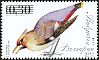 Bohemian Waxwing Bombycilla garrulus  2014 Songbirds 