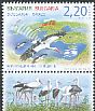White Stork Ciconia ciconia  2016 Bulgaria - Israel, bird migration 