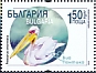 Great White Pelican Pelecanus onocrotalus  2019 Via Pontica bird migratory route Sheet, ce