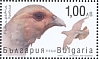 Grey Partridge Perdix perdix  2021 Game birds Sheet