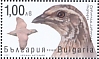 Common Quail Coturnix coturnix  2021 Game birds Sheet