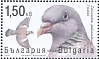 Common Wood Pigeon Columba palumbus  2021 Game birds Sheet