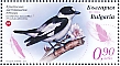 Collared Flycatcher Ficedula albicollis  2023 Endangered birds of Bulgaria Sheet