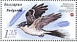 Great Spotted Cuckoo Clamator glandarius  2023 Endangered birds of Bulgaria Sheet