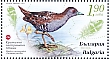 Baillon's Crake Zapornia pusilla  2023 Endangered birds of Bulgaria Sheet