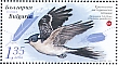 Great Spotted Cuckoo Clamator glandarius  2023 Endangered birds of Bulgaria Sheet, non-gummed paper with UV fibers