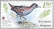 Baillon's Crake Zapornia pusilla  2023 Endangered birds of Bulgaria Sheet, non-gummed paper with UV fibers